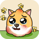 女生长靴里的袜子